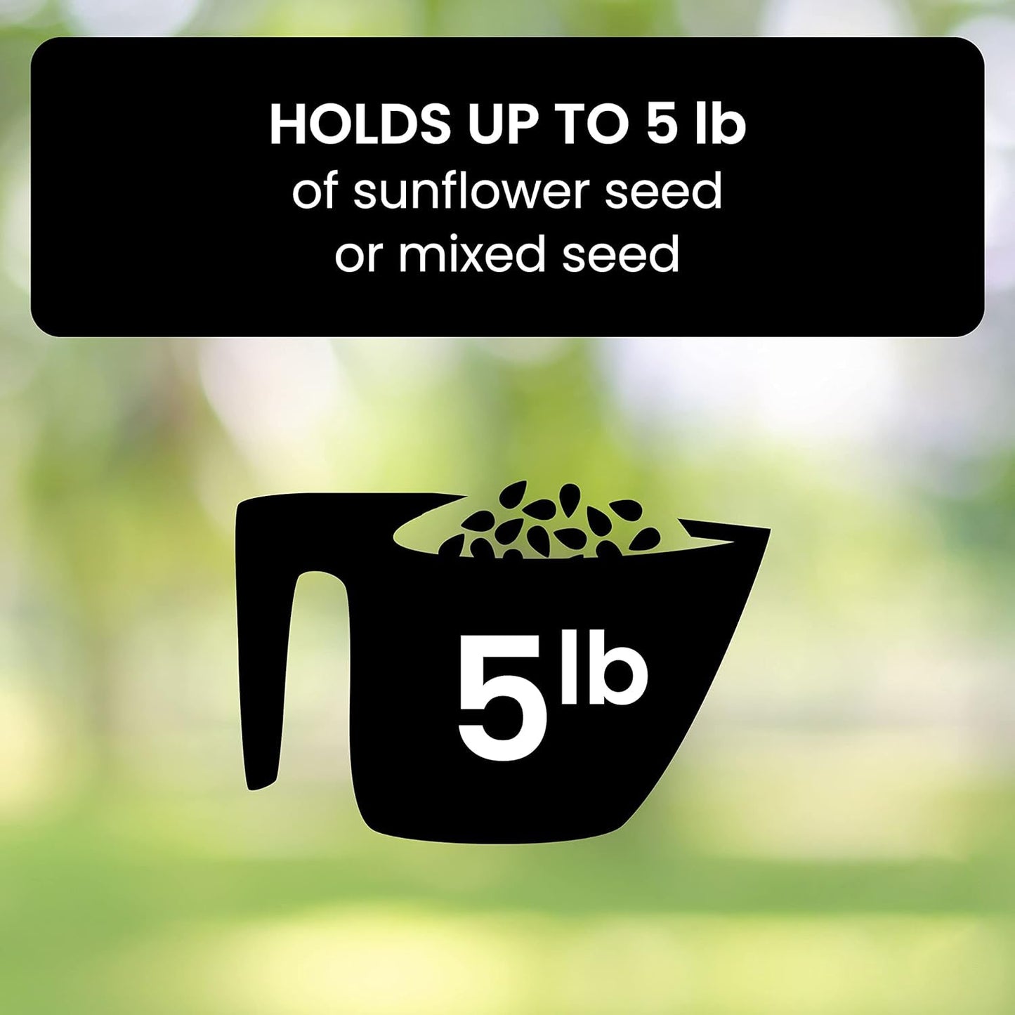 Bird Feeder With Squirrel-Proof Baffle And Weather-Resistant Design