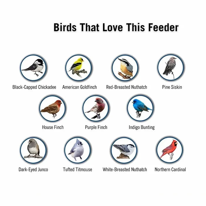 Bird Feeder With Squirrel-Proof Baffle And Weather-Resistant Design