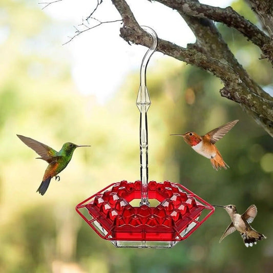 Hummingbird Feeder With Ant Guard For Outdoor Hanging Use