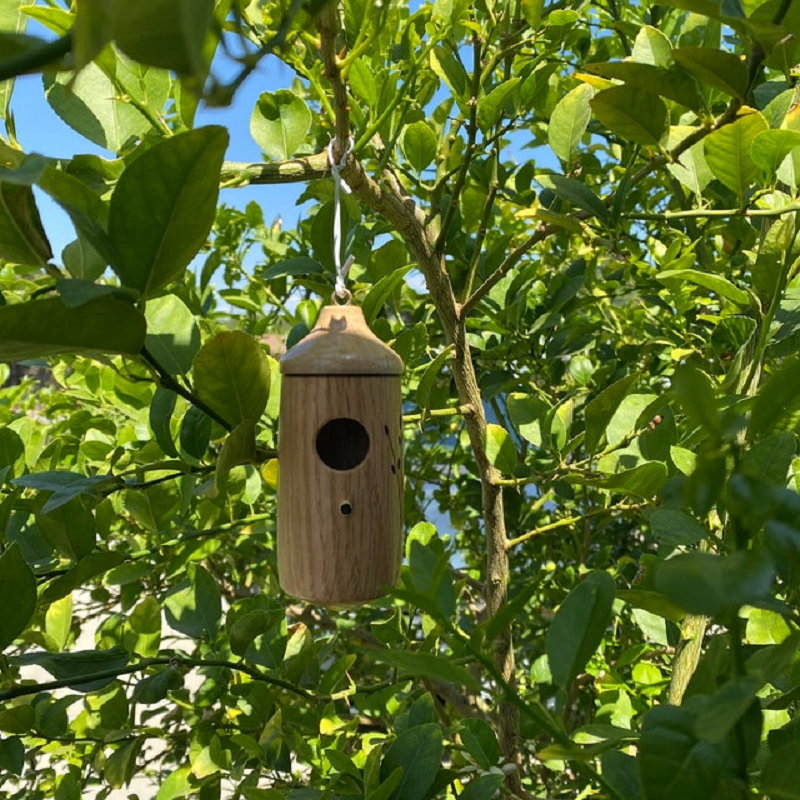 Wooden Hummingbird House Nesting Box For Garden Nature Lovers