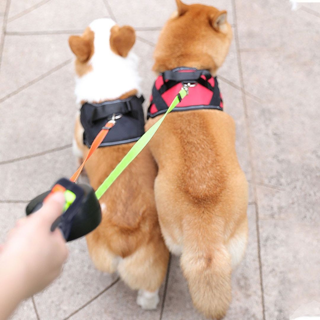 Double Dog Leash Anti-Tangle No-Twist Hands-Free Lead For Two Dogs