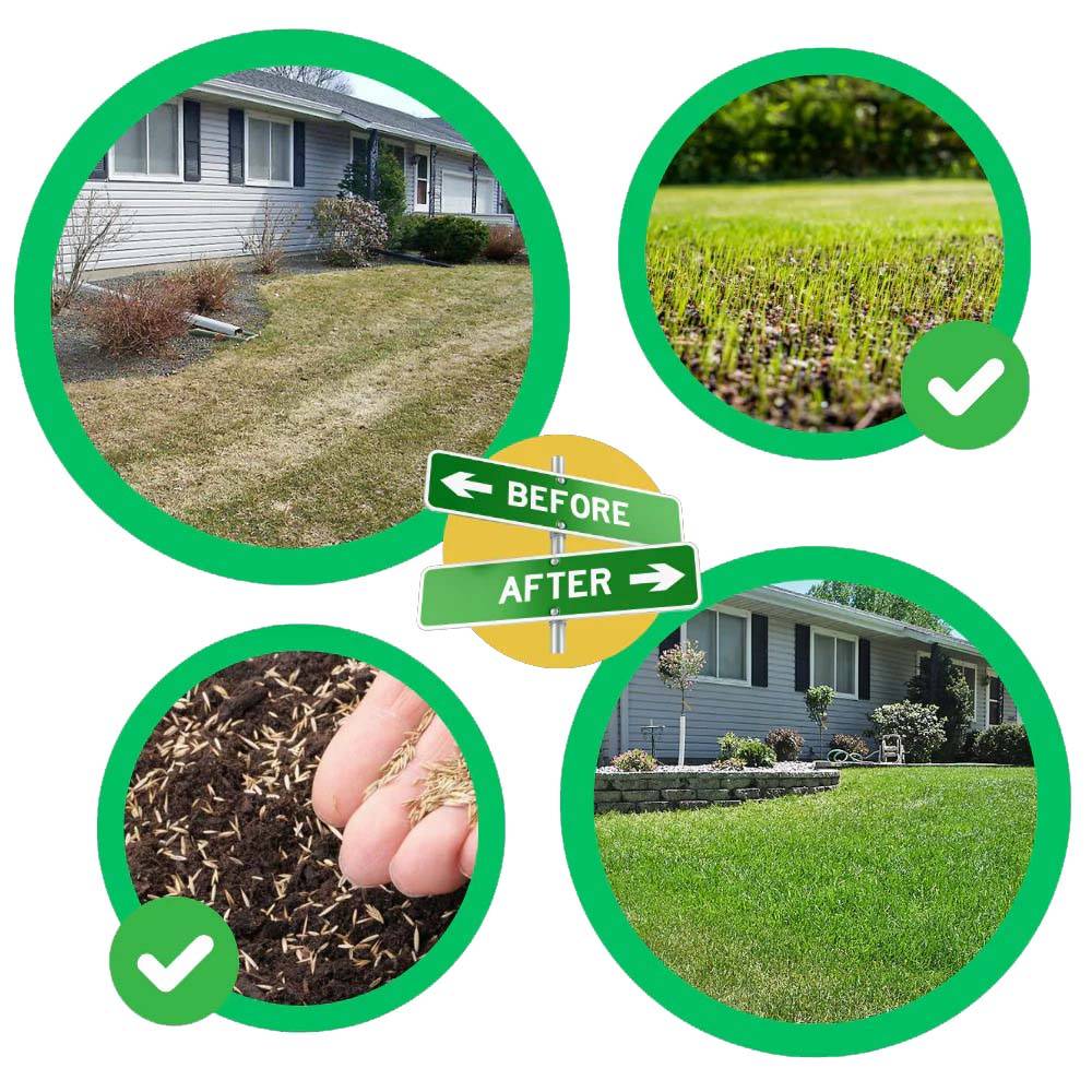 Grass Seed Mat For Quick Green Lawn Repair And Overseeding