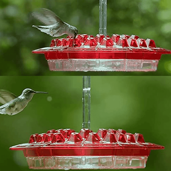 Hummingbird Feeder With Ant-Proof Hanging Perch For Outdoor Use