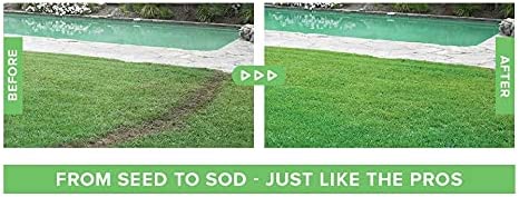 Liquid Lawn Seed Spray For Household Seeding System And Lawn Repair