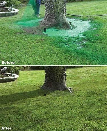 Liquid Lawn Seed Spray For Household Seeding System And Lawn Repair