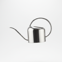 Arched Stainless Watering Can