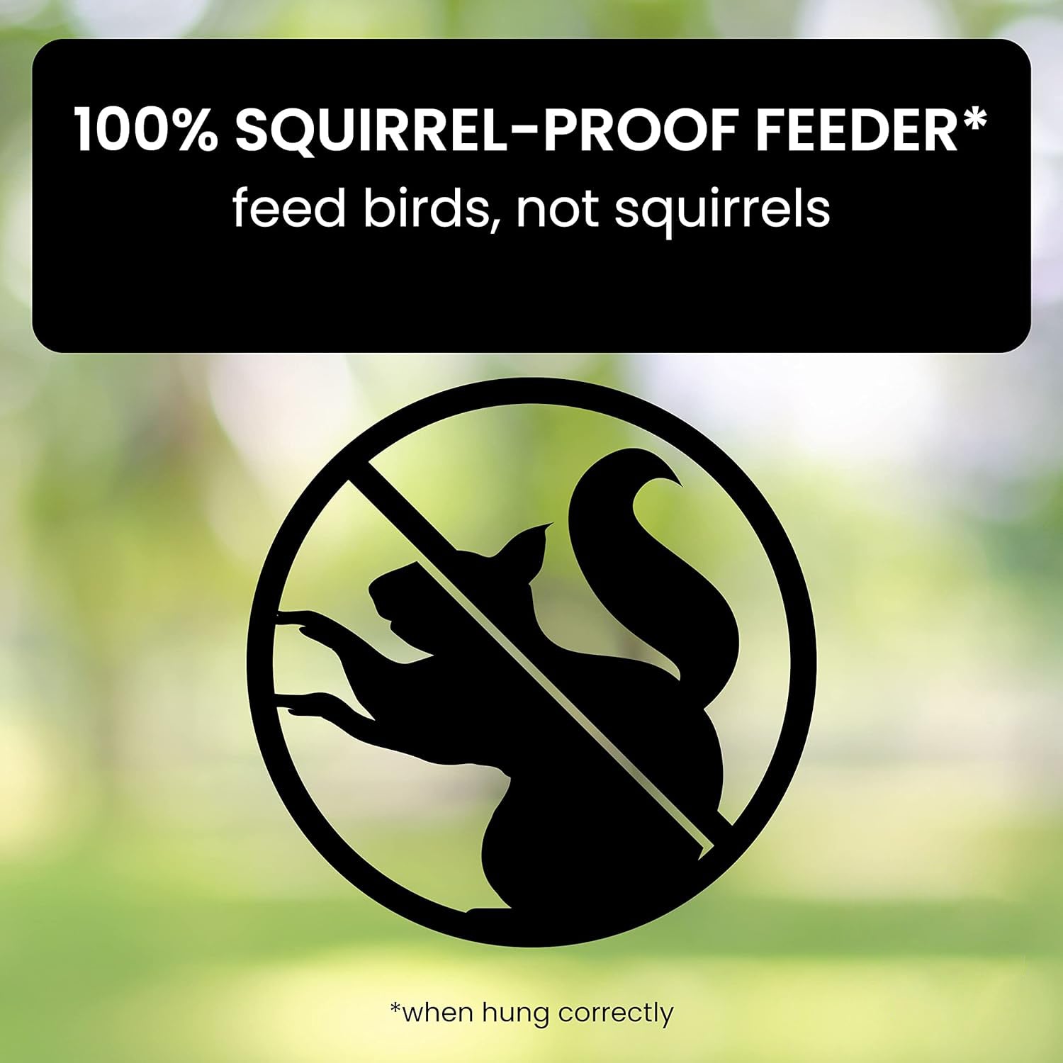 Bird Feeder With Squirrel-Proof Baffle And Weather-Resistant Design