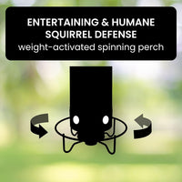 Bird Feeder With Squirrel-Proof Baffle And Weather-Resistant Design