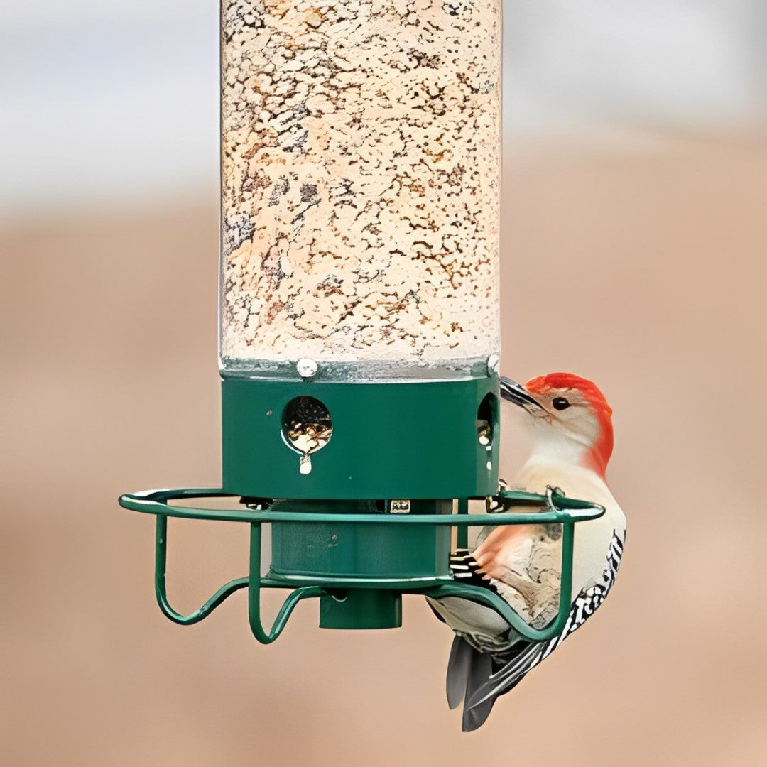 Bird Feeder With Squirrel-Proof Baffle And Weather-Resistant Design