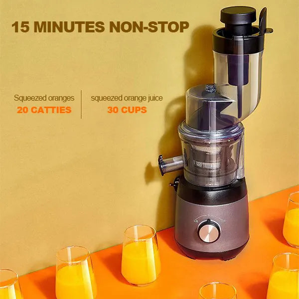 Electric Fruit And Vegetable Juicer With Household Pulp Collector