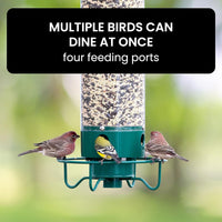 Bird Feeder With Squirrel-Proof Baffle And Weather-Resistant Design