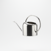 Arched Stainless Watering Can