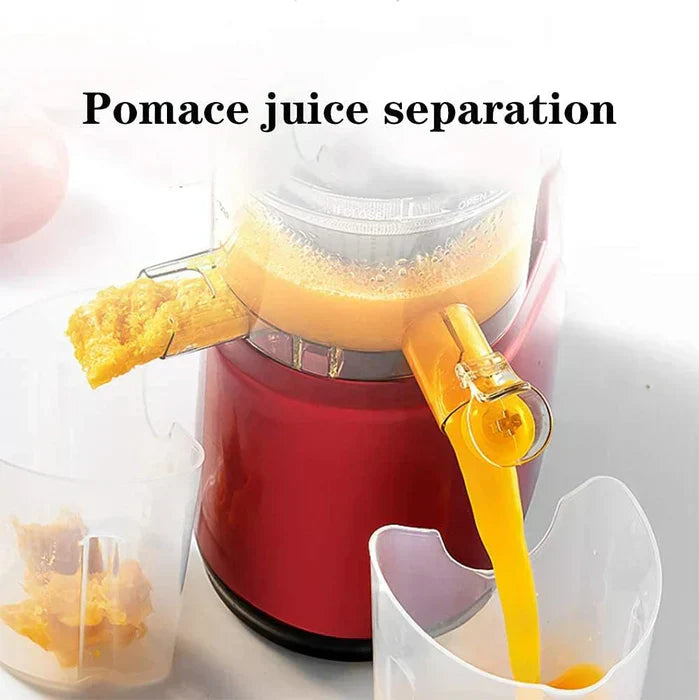 Electric Fruit And Vegetable Juicer With Household Pulp Collector