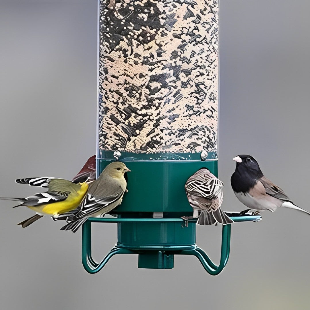 Bird Feeder With Squirrel-Proof Baffle And Weather-Resistant Design