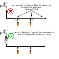Drip Irrigation System With Automatic Timer For Garden Beds And Pots