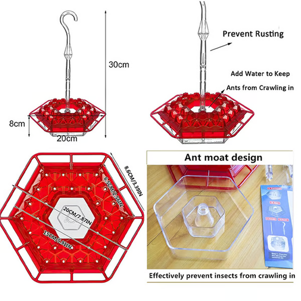 Hummingbird Feeder With Built In Ant Moat And Easy Clean Reservoir