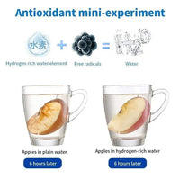 Hydrogen Water Bottle With Portable Infuser And Rechargeable Ionizer
