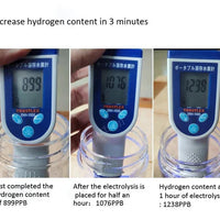 Hydrogen Water Bottle With Portable Infuser And Rechargeable Ionizer