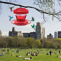 Hummingbird Water Feeders Hanging, Bee-Proof Design With Sturdy Perch
