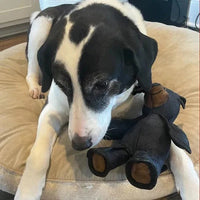 Dog Chew Toys Interactive Bear Design For Heavy Chewers