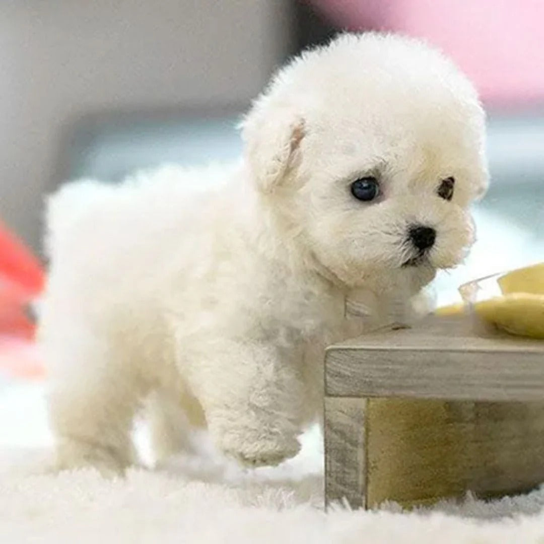 Robotic Puppy Toy With Realistic Movements And Lifelike Sounds
