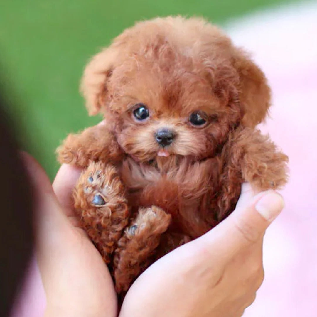 Robotic Puppy Toy With Realistic Movements And Lifelike Sounds