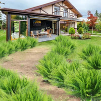 Artificial Boston Fern Plant for Porch, Balcony and Patio Displays