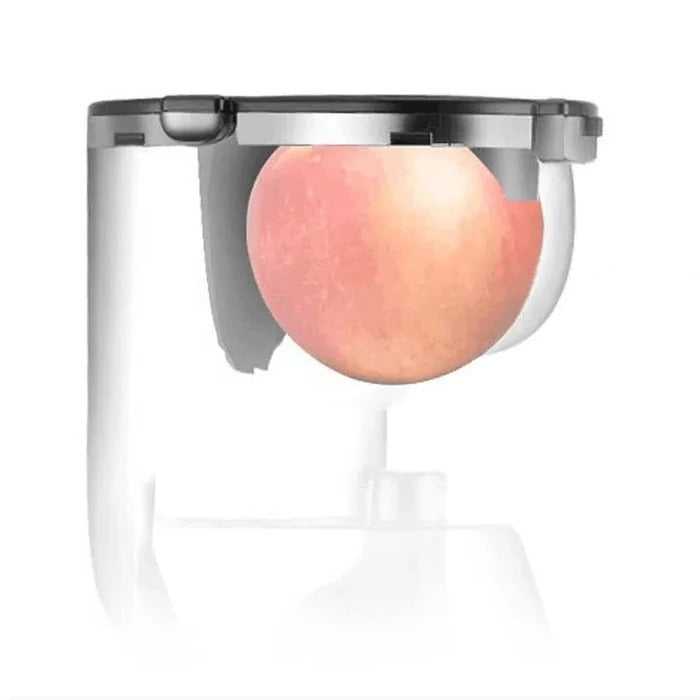 Electric Fruit And Vegetable Juicer With Household Pulp Collector