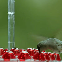 Hummingbird Feeder With Built In Ant Moat And Easy Clean Reservoir
