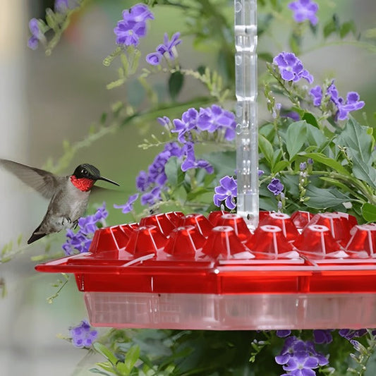 Hummingbird Feeder With Built In Ant Moat And Easy Clean Reservoir