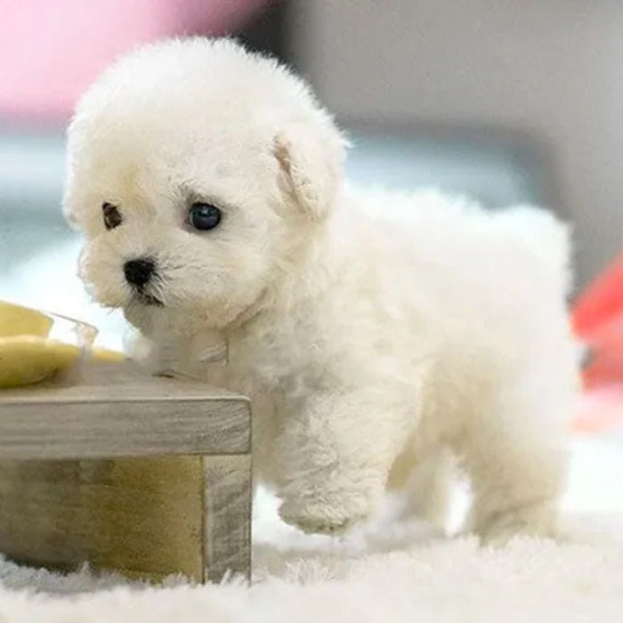 Interactive Robot Puppy Toy Realistic Lifelike Companion For Kids