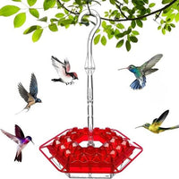 Hummingbird Feeder With Ant Guard For Outdoor Hanging Use