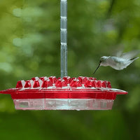 Hummingbird Feeder With Built In Ant Moat And Easy Clean Reservoir