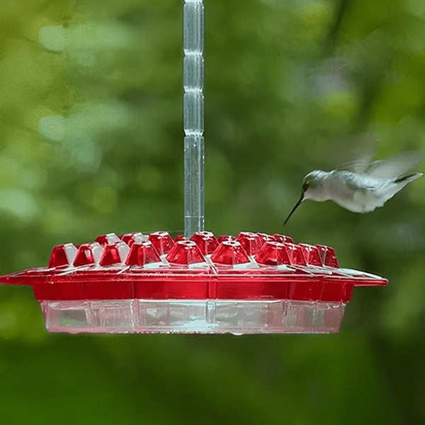 Hummingbird Feeder With Built In Ant Moat And Easy Clean Reservoir