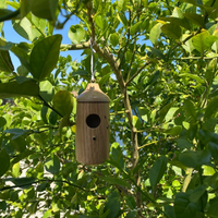 Wooden Hummingbird House Nesting Box For Garden Nature Lovers