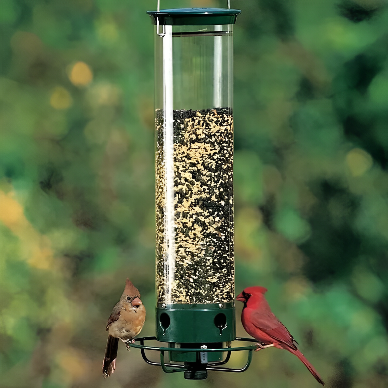 Bird Feeder With Squirrel-Proof Baffle And Weather-Resistant Design