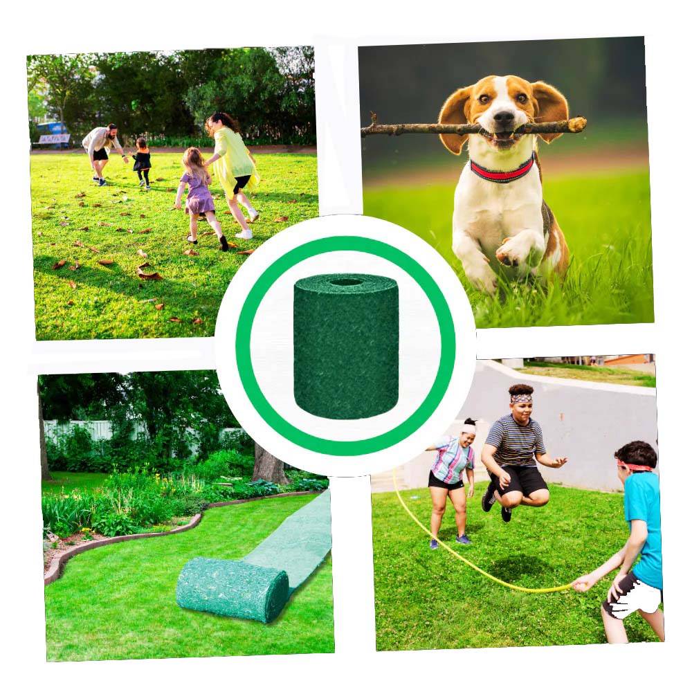 Grass Seed Mat For Quick Green Lawn Repair And Overseeding