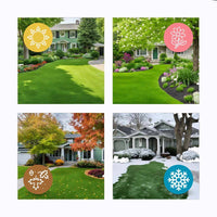 Grass Seed Mat For Quick Green Lawn Repair And Overseeding